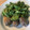 Yokchina's cooksnap of when they made 羊とミントを使ったエキゾチックなキョフテ.
