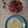 ayumita22's cooksnap of when they made ポークファヒータ.