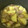 けんパパｐｐ's cooksnap of when they made 簡単☆じゃがいもとベーコンの旨煮.