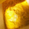 1男4女のママ's cooksnap of when they made だし巻き玉子2.