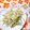MIHO＊Akmt's cooksnap of when they made ささっと♬じゃがいもの千切り炒め♡.