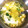島猫。's cooksnap of when they made 小松菜と玉ねぎの卵とじ味噌汁.