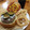 美緒玲＠女子力アップ's cooksnap of when they made きゅうりのキューちゃん風お漬物.