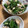 よぅこちゃん's cooksnap of when they made めちゃ旨オクラとささみの胡麻香る梅肉和え.
