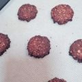 クックDALV42☆'s cooksnap of when they made 小麦粉不使用☆オートミールきなこクッキー.
