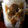 kokoro70's cooksnap of when they made 完熟梅と新生姜のシロップ♪.
