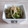アクセル☆'s cooksnap of when they made もやしときゅうりの食べるラー油和え.