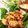 クックE662AA☆'s cooksnap of when they made やわらかジューシー♡鶏むね肉でチキン南蛮.