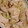 かめのたろう's cooksnap of when they made とりむねと春キャベツの生姜炒め.