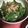 ちゃぎー's cooksnap of when they made インゲン豆のごま和え♪.