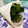 バウチャン's cooksnap of when they made ハーブのちょっと長持ち保存法.