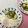 おはなすき's cooksnap of when they made ☆ピーマン＆さつまいもバター焼き☆.