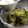 yappyパクパク's cooksnap of when they made やみつきになる…きゅうり　麺つゆで….