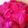 クック1KGKIY☆'s cooksnap of when they made 紅生姜(梅酢を使って).