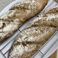 tamayakko6's cooksnap of when they made レーズン胡桃ぎっしりパン＊ホシノ酵母.