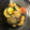 minami飯's cooksnap of when they made ズッキーニとトマトの玉子炒め.