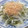 くーこぷ's cooksnap of when they made 新たまねぎとめかぶの二杯酢和え.