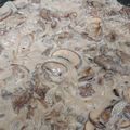 八百屋の女将's cooksnap of when they made 牛肉のマッシュルームクリームソース煮.