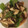 ママは華ちゃん's cooksnap of when they made つくりおきに！なすとピーマンの麺つゆ和え.