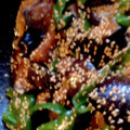 クックO63XOV☆'s cooksnap of when they made ナスとピーマンの甘辛炒め.
