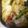 ☆angel's cooksnap of when they made 塩レモンでジューシーなチキンのグリル♡.