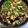 tanzanite's cooksnap of when they made 簡単♪パクチーとなすのエスニック風炒め.