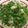 ねおみ's cooksnap of when they made パクチーうどん☆ナンプラー入れてアジアン.