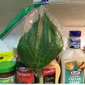 sugarbeast's cooksnap of when they made 裏ワザ！すぐに見つけられる大葉の保存方法.