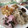 nyankoにゃん's cooksnap of when they made 玉ねぎとワカメの酢の物.