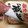 sugarbeast's cooksnap of when they made 味噌の選び方と保存の仕方.