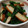 yocchi2109's cooksnap of when they made 簡単！さつま揚げとニラの甘辛炒め.