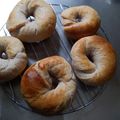 さけまむ's cooksnap of when they made ブルーベリーヨーグルトのベーグル.