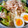 もちえり♪'s cooksnap of when they made 蒸し鶏とトマトの胡麻だれそうめん.