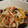 クック0XD2KM☆'s cooksnap of when they made 鯵の南蛮漬け 簡単 さっぱり味♬黄金比!.
