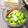 ハント☆'s cooksnap of when they made きゅうり枝豆のマリネ♪簡単夏野菜マリネ液.