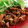 くるみモンブラン's cooksnap of when they made ！安っ！鶏皮！名古屋手羽先風唐揚げ♪.