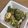 クックJOSC5U☆'s cooksnap of when they made ブロッコリーと卵のツナ炒め.
