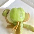 はらぺこしろうさぎ's cooksnap of when they made キウイの芯を綺麗にとる方法.