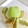 はらぺこしろうさぎ's cooksnap of when they made キウイの芯を綺麗にとる方法.