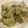 papikun's cooksnap of when they made 材料はレタスとニンニクのみ！レタス炒め.