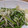 ここあママ's cooksnap of when they made 「給料日前の」もやしとにらだけ♪.