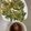 テヨン1's cooksnap of when they made チヂミのタレ.