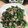 へい♡ゆー♡'s cooksnap of when they made 簡単！ニラとサバ缶のさっぱり和え.