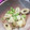 ゆちゃ's cooksnap of when they made おつまみに！ちくわと枝豆のたらこマヨ炒め.