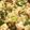 pianon♪'s cooksnap of when they made 豆腐のカレー炒め.