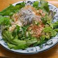プルンバゴ's cooksnap of when they made おぼろ豆腐としらすのさっぱりサラダ.