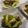 サンディサンディ's cooksnap of when they made セロリと豚肉の炒め物 カレー風味.