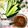 monchan♪♪'s cooksnap of when they made 野菜スティックに！ニンニク味噌ディップ.