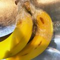 petitomo's cooksnap of when they made バナナを長持ちさせる方法♪.