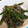 クックGT06PS☆'s cooksnap of when they made いんげんともやしの黒ごま和え.